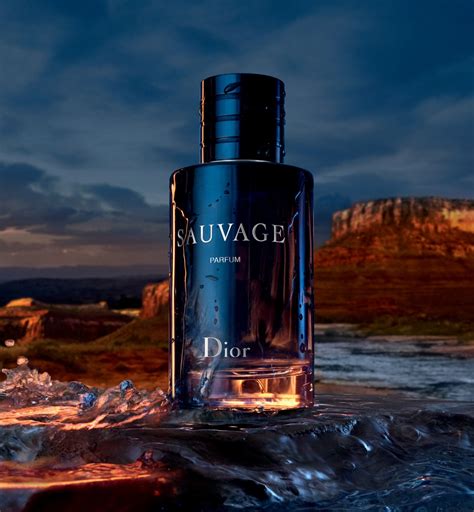 dior savarge|dior sauvage best price.